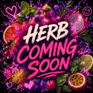 【COMING SOON】ハーブ